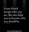 True friend.jpeg