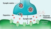 all-about-dopamine-722x406.jpg