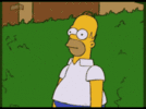 1682250473577.gif