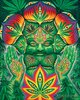 Alex_Grey-Cannabacchus_hi_r.jpg