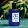 baxter-of-california-pacific-cannabis-eau-de-parfu.jpg