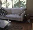 couch-remote.gif