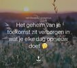 IMG_7189.jpeg