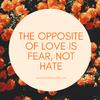The opposite of Love is fear, not hate.png
