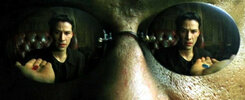 Blue pill red pill.jpg