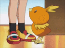 IMG_9076.gif IMG_9076.gif