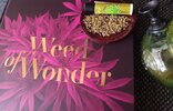 weedofwonder.jpg