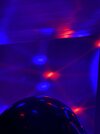 IMG_7780.jpeg