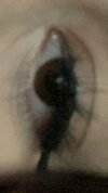 IMG_1440.jpeg