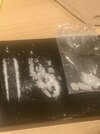 camphoto_1804928587.jpeg