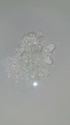 IMG-20231107-WA0012.jpeg