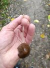 IMG_20231116_150738.jpg