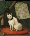 that-cat1.jpg