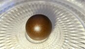 20220921_163841.jpg