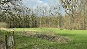IMG_6507.jpg