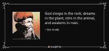 quote-god-sleeps-in-the-rock-dreams-in-the-plant-stirs-in-the-animal-and-awakens-in-man-ibn-ar...jpg