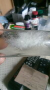IMG-20240213-WA0000.jpeg