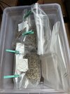 grow kits.jpg grow kits.jpg