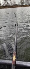 20240316_095955.jpg