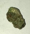 IMG_0597.jpeg