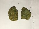 IMG_1156.jpeg