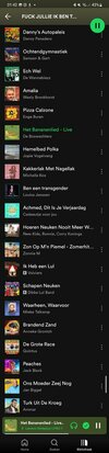 Screenshot_20240515-014210_Spotify.jpg