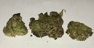 IMG_1422.jpeg