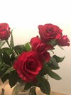 Call yourself a rose.jpg