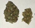 IMG_1475.jpeg