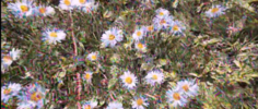 1716548071336.png