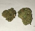 IMG_1688.jpeg