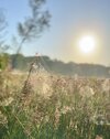IMG_5564.jpeg