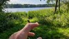 20200620_173215.jpg