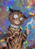 1595246092328.png
