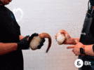 1000009929.gif