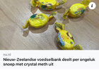 IMG_3332.jpeg