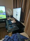 1000039703.jpg