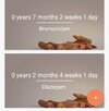 Screenshot_20240927_133251_Days Counter.jpg