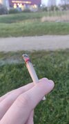 1000022383.jpg