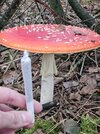20241011_155850.jpg