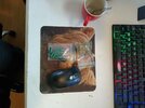 IMG20241012155415.jpg