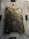 IMG_3193.jpg