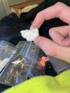 IMG_1898.jpeg