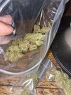 IMG_4762.jpeg