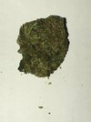 IMG_4148.jpeg