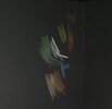 IMG_4153.jpeg