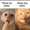FB_IMG_1733578262745.jpg