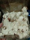 IMG20250201192004.jpg