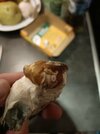 IMG20250201195328.jpg