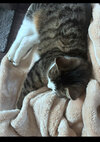 IMG_6397.jpeg